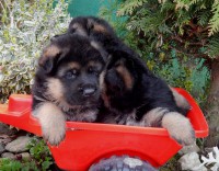 /album/a28-days/stence-e-4tyzdne-007-jpg/